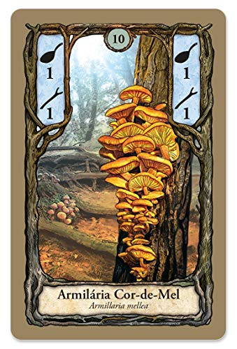 Fungi (PaperGames)