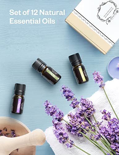 Aosno Essential Oil Top 12*5Ml Pure Aromatherapy Oils Massage Oil, Lavender, Peppermint, Eucalyptus, Frankincense, Lemon, Cinnamon, Rosemary, Lemongrass, Tea Tree, Sweet Orange, Bergamot, Ylang Ylang #TOP4