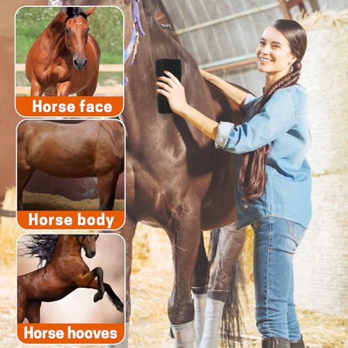 ZELARMAN Conjunto de cuidados com cavalos – ferramenta massageadora, escovas de esponja para limpeza