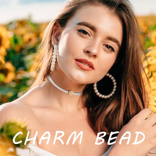 925 Sterling Silver Charms Beads for Bracelets Necklaces, 4 Four Clover Leaf Sunflower Ladybird Honeycomb Infinite Heart Pendant, Green Flower Lucky Jewelry Birthday Gifts for Women Men2