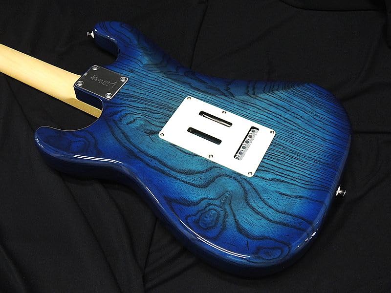 Amazon | FGN FUJIGEN NST110MAH SBB フジゲン Neo Classic SERIES
