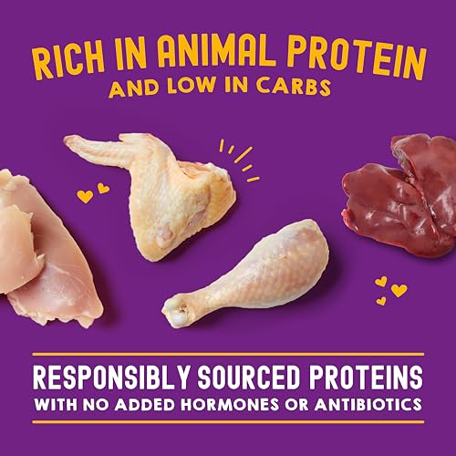 Stella & Chewy's Carnivore Cravings Wet Cat Food - Premium Pouches - Grain Free, High Protein Chicken & Chicken Liver - Perfect For Pickey Eaters - Complete Meal or Topper (2.8 oz, 24 Pack) - image 4