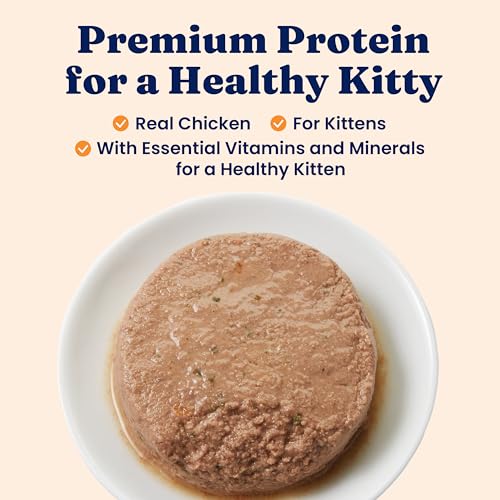 Image of Solid Gold Wet Cat Food Pate for Kittens - Healthy Canned Cat Food Pate w /Real Chicken, Superfoods, Omega Fatty Acids, & Vitamins - Grain Free & Gluten Free Can Meals for Kittens - 24ct /3oz Can