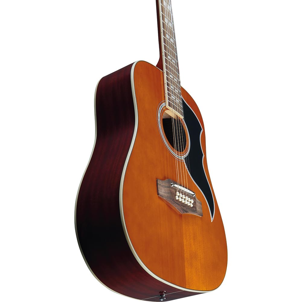 EKO Guitars Ranger VR XII Natural Top Stained Chitarra acustica 12 corde