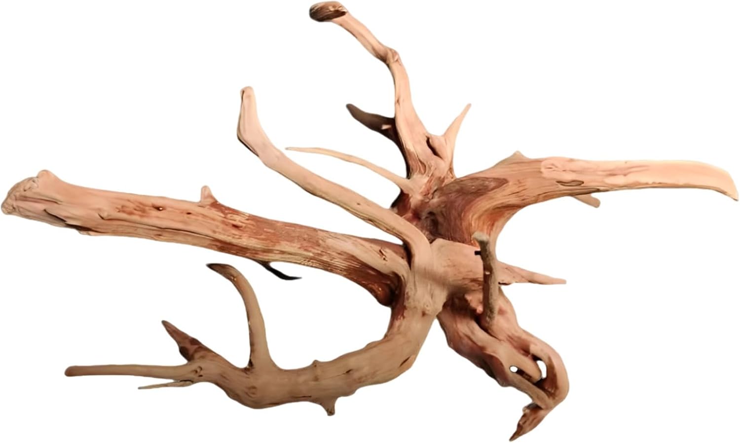 15.7 in / 40 Cm Natural Rhododendron Root Driftwood, Unique Tree Root Ornament for Aquarium Landscaping, Reptile Habitat, Freshwater Fish Tank Hardscape, Micro Landscape