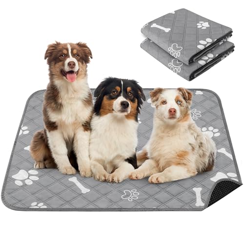 Image of PatiencET Washable Pee Pads for Dogs, 36 inch x 48 inch 2 Pack, Extra Large Reusable Puppy Pads with Super Absorbent Core & Non-Slip Waterproof Bottom for Playpens, Sofas & Beds