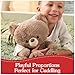 GUND Kai Teddy Bear Plush Toy, Premium Stuffed Animal for Ages 1 and Up, Taupe, 12”