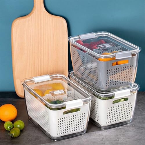 Récipient alimentaire design à double couche plastique efficace pour aliments frais - 7