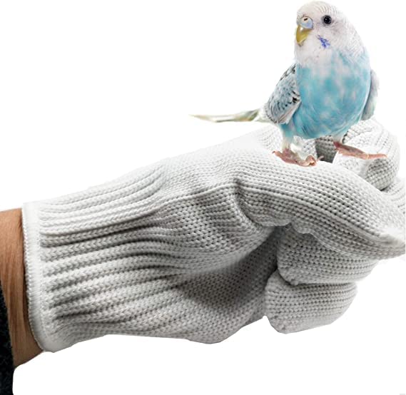 Excefore Bird Training Anti-Bite Gloves Parrot Chewing Safety Protective Steel Wire Gloves Small Animal Handling Gloves fit for Parrot Squirrels Hamster Hedgehog (1 Pair, White)