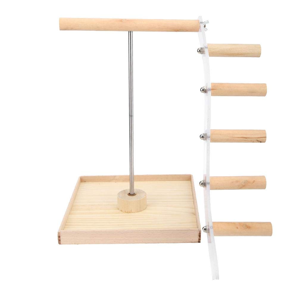 Buy Hffheer Pet Parrot Stand Wooden+Metal Parrots Playstand Perch Gym
