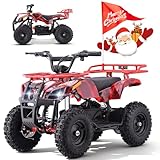 QEASET EA500-RA 36V Electric Powered 4 Wheeler for Kids,500W...