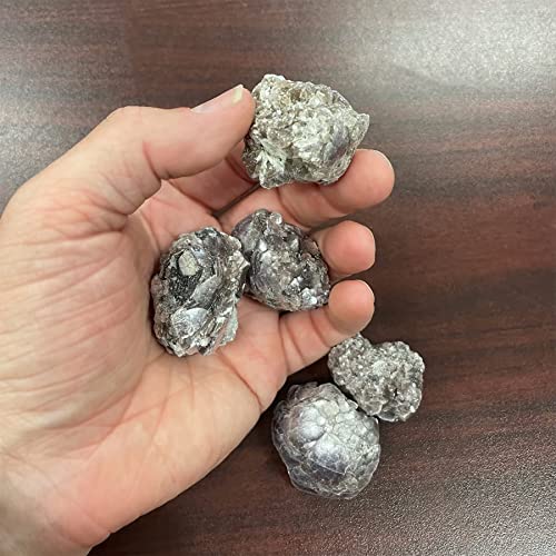 Starborn Coconut Lepidolite Crystal – One Piece #TOP5