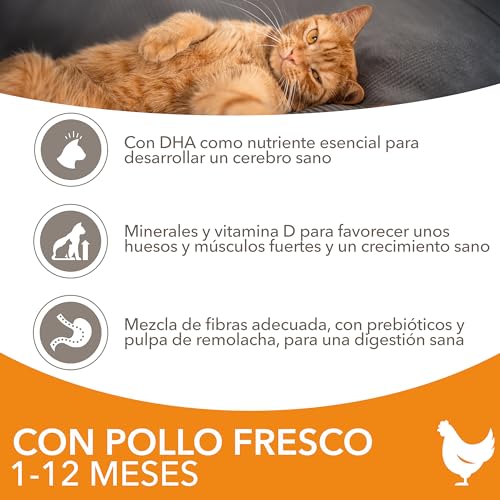 Miniatura 3 de IAMS Alimento Seco para Gatitos de 1-12 meses, Pollo, 3 kg