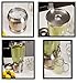 BirdRock Home 1.5 Gallon Stainless Steel Beverage Dispenser with Ice Container, Stand & Spigot - Round - BPA Free Clear Tritan Plastic