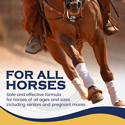 Horse Xl - 100% Natural Horse Supplement Powder With 8 Essential Amino Acids To Help Promote Cellular Repair - No Soy, Sugar, And Fillers Horse Hoof Support, Horse Joint Support, And Gut Support #TOP6