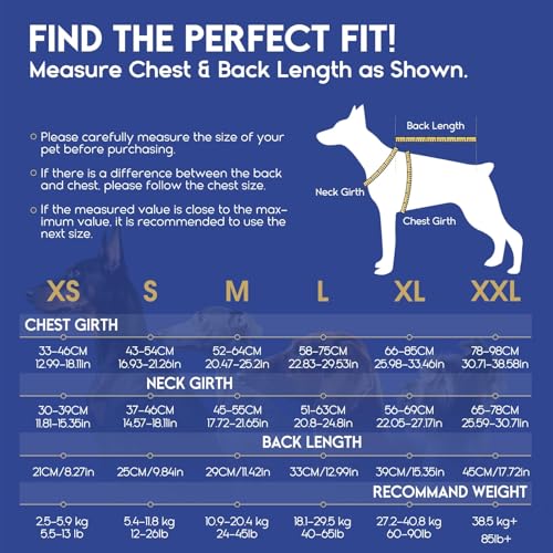 ASENKU Schwimmweste Hund für Kleine Hunde XS,Verstellbar & Ripstop Hundeschwimmweste,Rettungsweste für Hunde mit Griff und Reflektierend zum Chihuahua, Dackel, Französische Bulldogge,Labrador