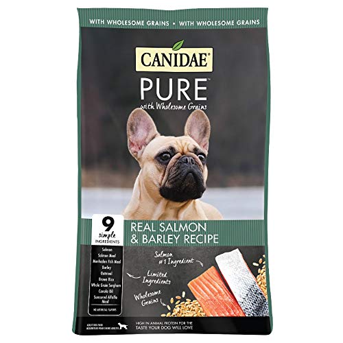 CANIDAE Pure Real Salmon & Barley Recipe Dry Dog Food, 24 lbs.