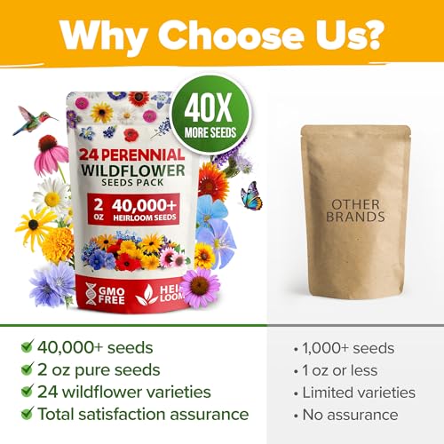 Image of Home Grown Premium Wildflower Seeds Bulk - 60,600+ Perennial Flower Seeds Mix for Planting Outdoors - 24 Variety Wildflower Seed Mix - Attracts Bees, Butterflies & Birds - 2oz Wild Flower Seeds