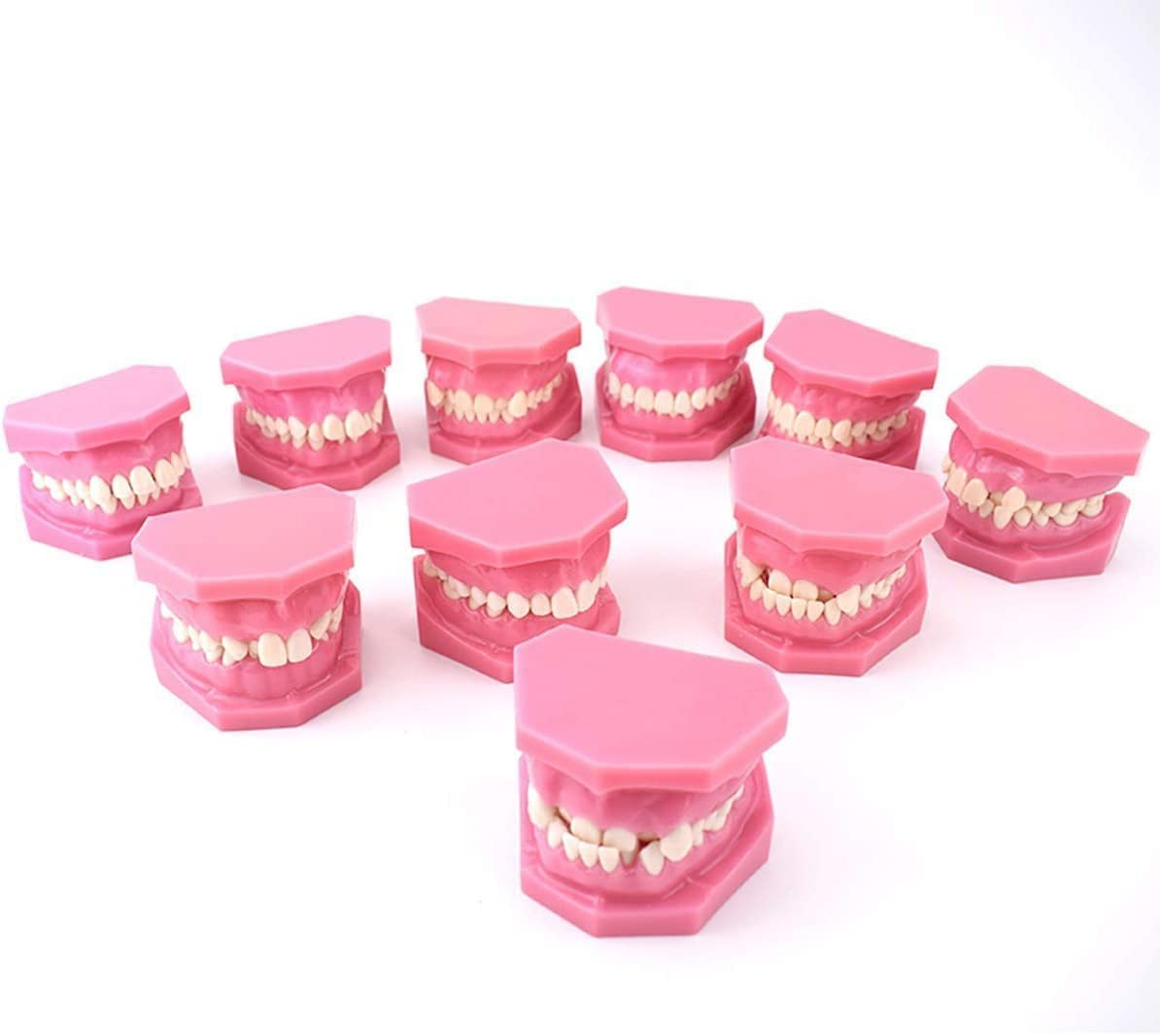 Dentysta Korekta Ortodontyczna Model Anatomiczny Do Nauki Stomatologii Badanie Zębów Dorosłych Model Dydaktyczny 10 Szt. Model Demonstracyjny Klasyfikacji Wad Z