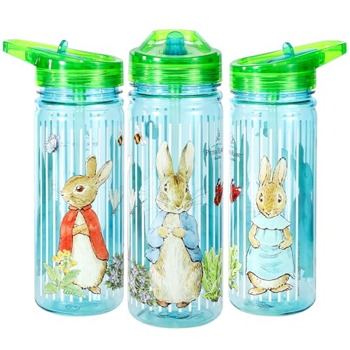 Zawadi Global Peter Rabbit 580ml Water Bottle for Kids School Drinks Bottle Made of Durable Ecozen Reusable BPA Free - Image 3