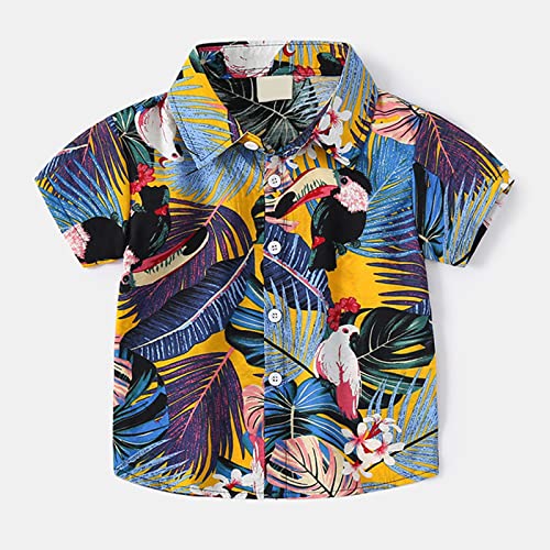 Toddler Buttons Down Shirt Short Sleeve Multi Color Print Shirt Tops Clothes Baby Boys Kids Summer Casual Pullover2