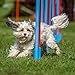 Imagen de Relaxdays Balancín Perro, Dog Agility