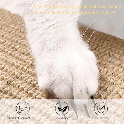 Panneau à griffes pour chat : offrez un espace de bonheur à votre chaton - 7