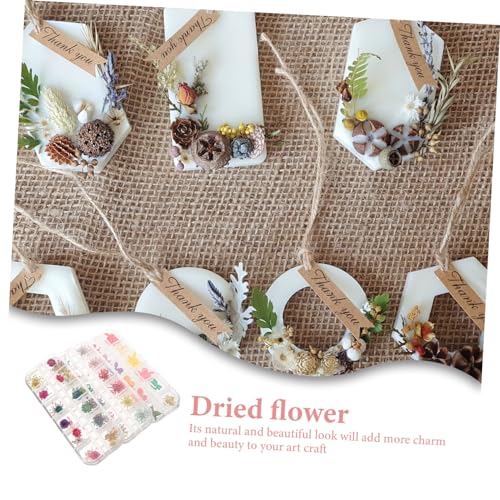 Kit de accesorios con flores secas para manualidades miniatura 6