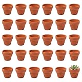 Pilikoll 30 Pezzi 4.8x4 cm Mini Vaso Terracotta Con Foro Di Scarico Vasetti Piccoli per Piantine Vasetti Terracotta piccoli vasettidi Terracotta Piccoliper Piante Aromatiche, Fiori, Semi