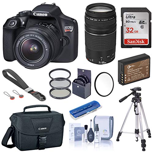 Canon EOS Rebel T6 DSLR Camera with 18-55mm and 75-300mm Lens Starter Bundle