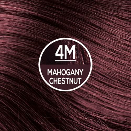 Naturtint Permanent Hair Color 4M Mahogany Chestnut (Pack Of 6), Ammonia Free, Vegan, Cruelty Free, Up To 100% Gray Coverage, Long Lasting Results #TOP1