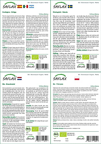 Brennnesselsamen Saflax Geschenkset Bio mit 2000 Samen