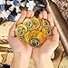 Lesnala 150Pcs Pirate Gold Coins Plastic Bulk Fake Gold Coins with Skull Treasure Chest Pattern for Adventure Theme Treasure Hunt Game Party Favors 2 Styles