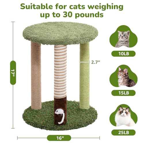 Árbol para Gatos Pequeño 17" con Base de Césped y Rascadores miniatura 3