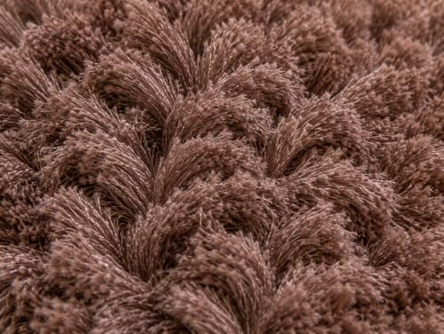 Image of Shaggy Carpet 5x7 Ft for Living Room & Bedroom (Brown)