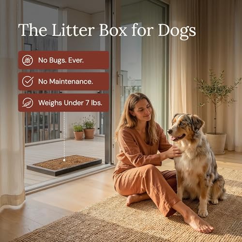 Bark Potty Disposable Dog Litter Box - Natural Bark Dog Potty Tray 24x16 | No-maintenance indoor dog potty for apartments & busy pet parents. Leak-resistant, reduces odors, replaces up to 60 pee pads - Image 3