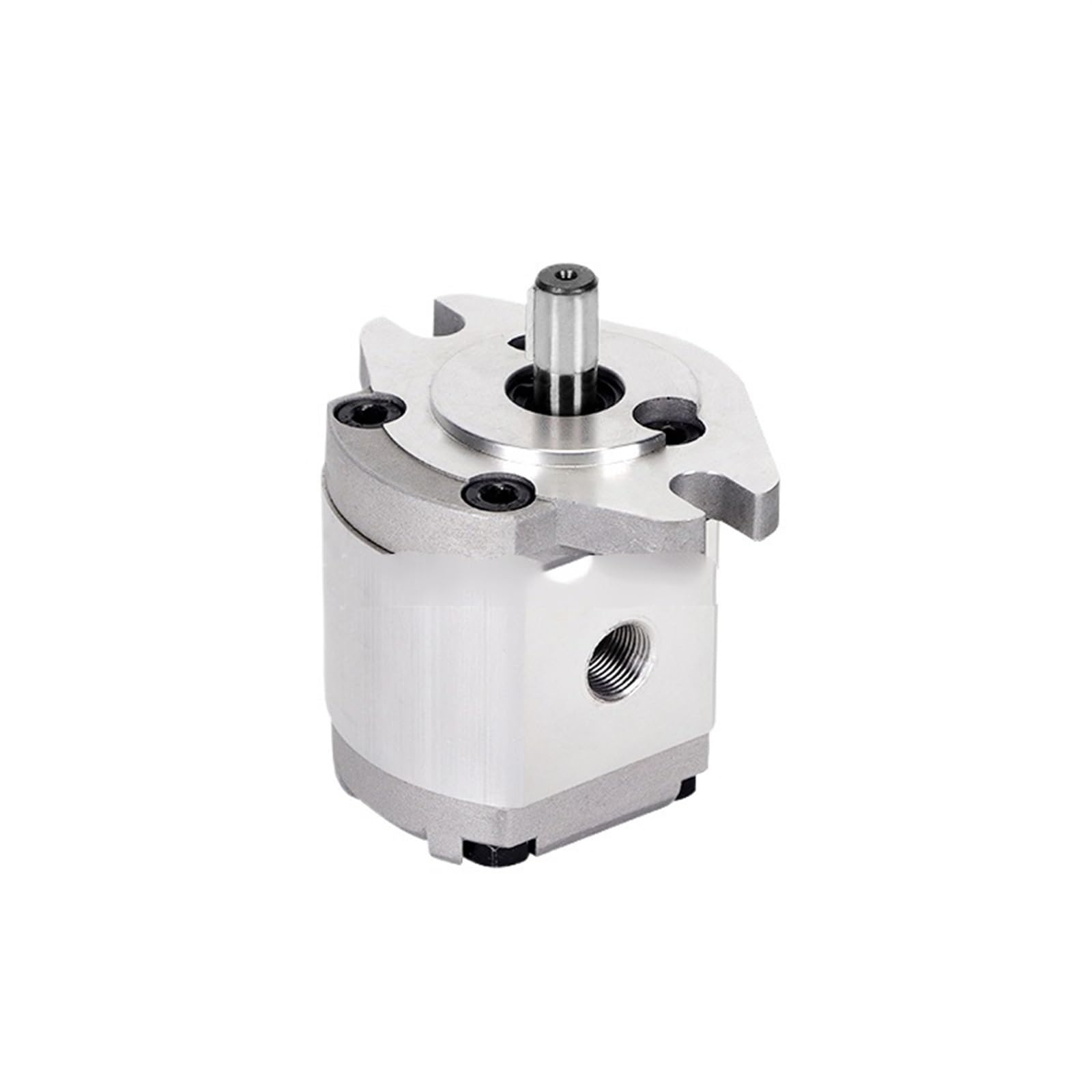 Hydraulic Gear Pump HGP Series HGP-1A-F0.8R/F8R/F4R Gear Pump Hydraulic High Pressure Booster Rotary Quantitative Pump(HGP1AF0.5R)
