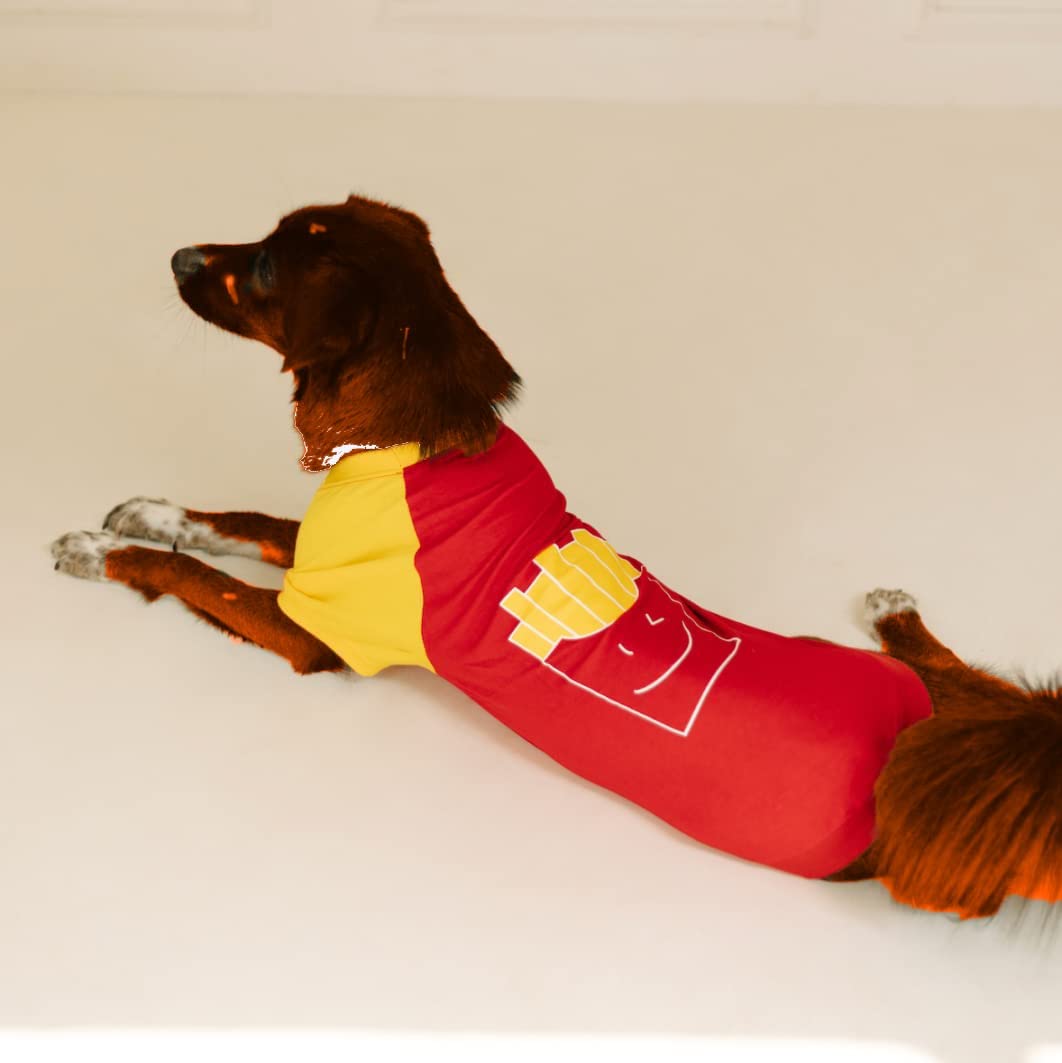 PetaHouse Attractive Look Outfit ClotheM T-Mhi9rt Breathable Pet Apparel Dog ClotheM for All BreedDogM|Comfortable to Every Dog|100% Cotton|Dryfit ClotheM (M) Neck Mize - 10 Inch Red (B0C1KBYCMJ) Amazon Price History, Amazon Price Tracker
