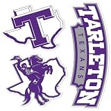 Desert Cactus Tarleton State University Texans Sticker Decal (T5-1)