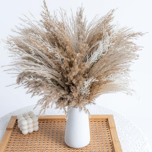 image for WILD AUTUMN Pampas Grass Decor dreid Flowers Fluffy pompas Grass vase 