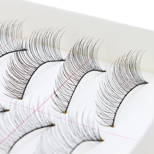 AGPtEK Handmade Natural Fashion Long False Eyelashes For Makeup (10 Pairs)