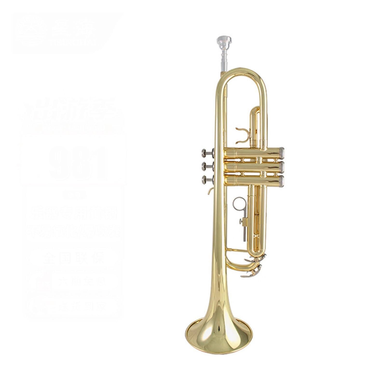 trąbka instrument Trąbka B Instrument dęty blaszany dla początkujących test wydajności na poziomie podstawowym zachodni instrument dęty