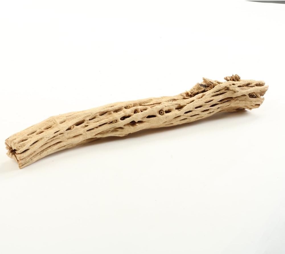 Buy Koyal Wholesale Cholla Wood Aquarium Branches Airplants Decor Reptile Perch Natural Home Decoration Chew Toy Online In Indonesia B07bn5qgyv