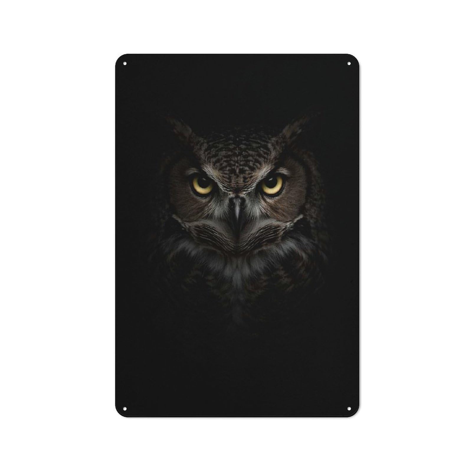 Junmoney Style-23 For Living Room Or Hallway, Intense Owl Portrait Vintage Metal Plaque 30X20cm, For Vintage Wall Decor Fans, For Metal Sign Collectors