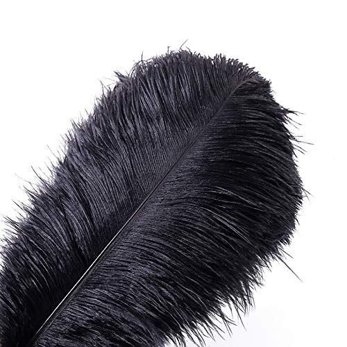 10pcs Natural Ostrich Feathers Plume 16-18inch(40-45cm) for Wedding Centerpieces Home Decoration (16-18IN,Black)
