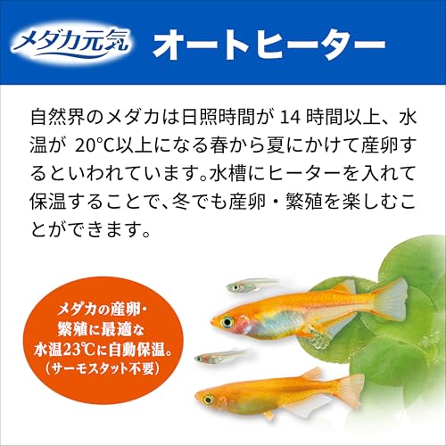 ジェックス GEX メダカ元気 オートヒーター 55 の商品画像 5