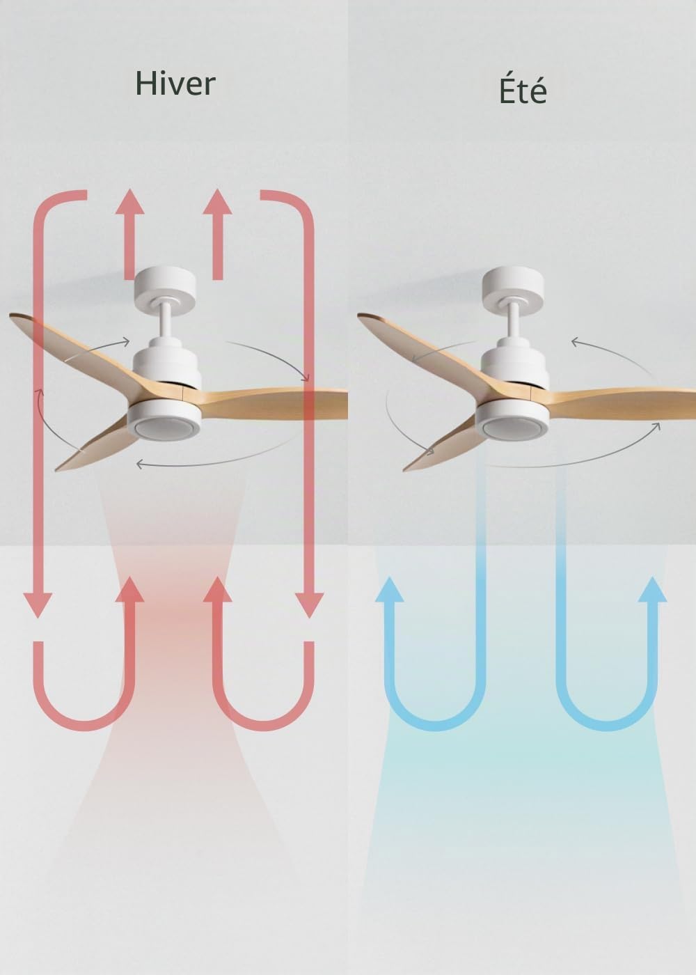 CREATE / WINDSTYLANCE S/Ventilateur plafond ABS blanc lumière pales effet bois clair avec télécommande/Silencieux, Ø112 cm, 6 vitesses, été-hiver, moteur DC