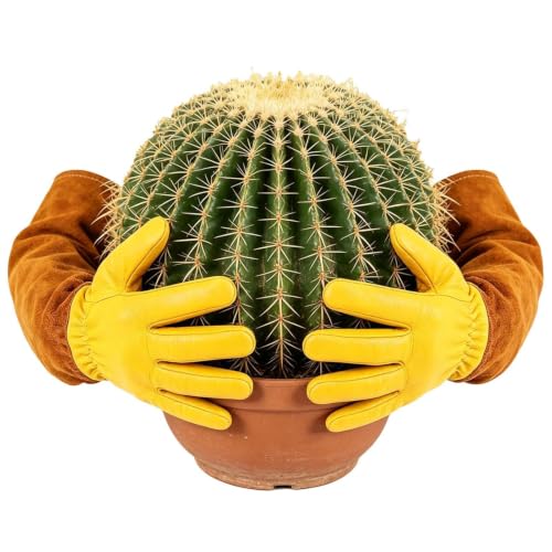 Guantes resistentes a las espinas y herramientas de protección duradera