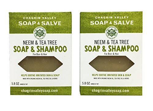 Chagrin Valley Soap & Salve Organic Natural Shampoo & Soap Bar - Neem & Tea Tree (2)