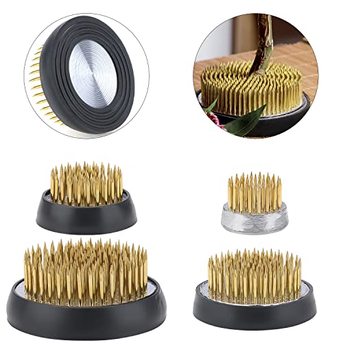 GALEPEE 4 Pezzi Flower Frog Ikebana Kenzan